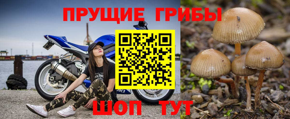 Назарово  Галлюциногенные грибы MAGIC MUSHROOMS  Вход с VPN 
